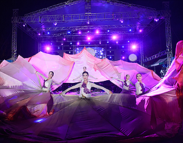 Festival 관련 이미지