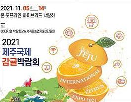 Mice 관련 이미지