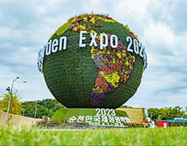 Mice 관련 이미지